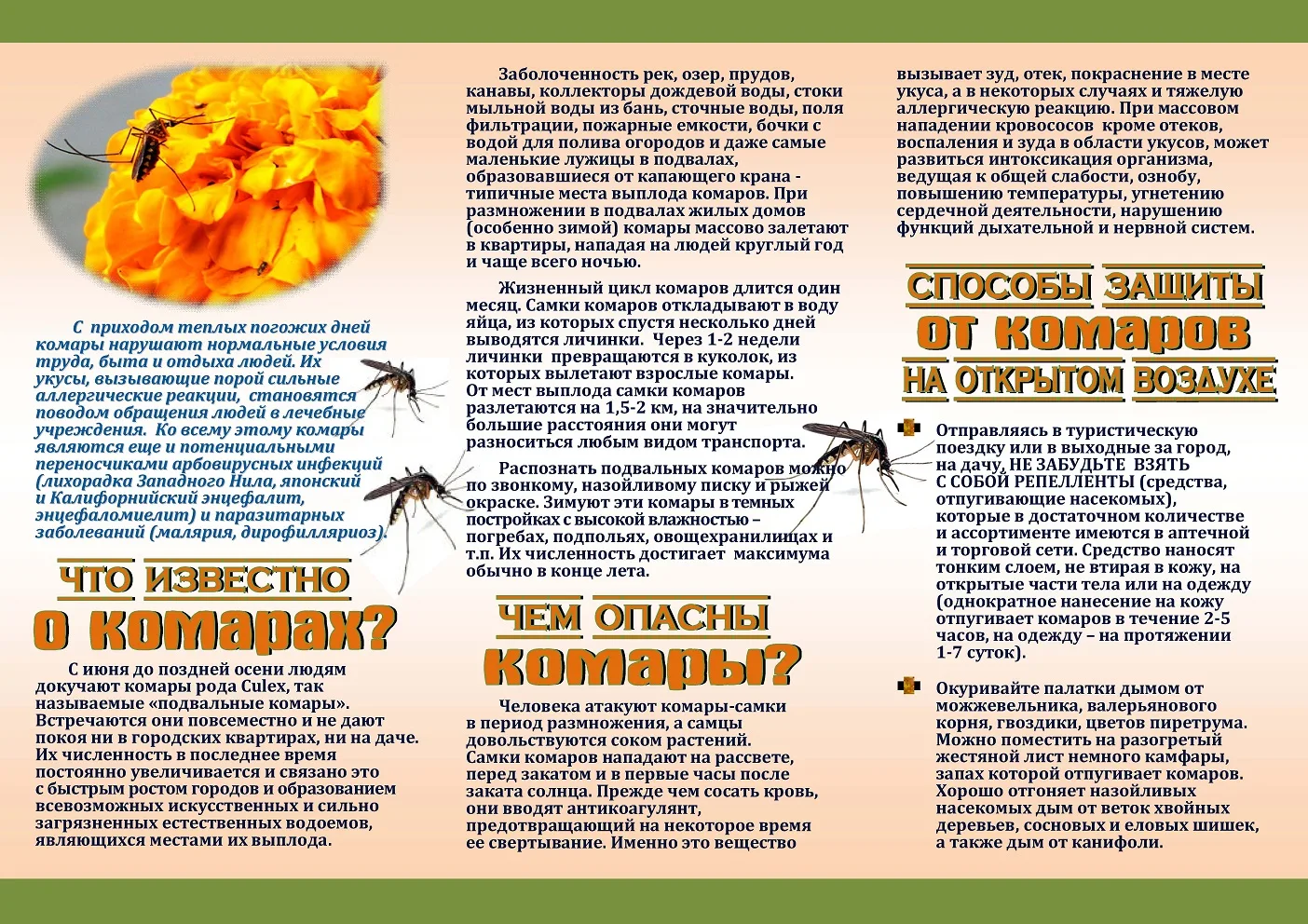 Изображения.
